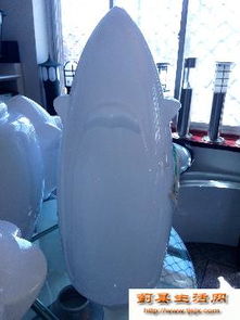 點亮生活，從專業路燈批發到安心食品零售——一站式采購新體驗